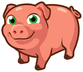 pig_1