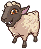 sheep_1